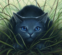 An image of Bluestar from the Warriors series' Ultimate Guide. The blue cat with blue eyes is crouching in the grass, facing the viewer.